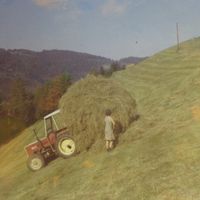 Heuarbeiten am unteren Feld