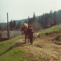 Unser Opa mit seinem Pferd