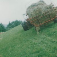 Heuarbeiten am unteren Feld