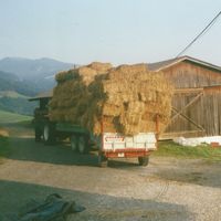 Anhänger mit Stroh im Hof